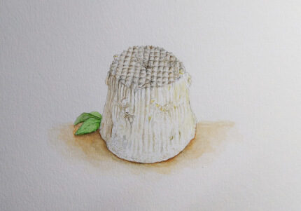 Winther_Kramsno_ricotta Winther_Kramsno_ricotta