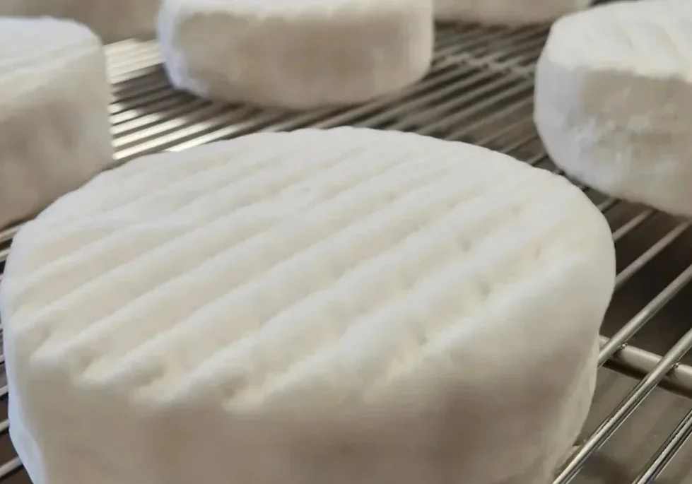 skoddacammembrie_tveitakjerringdet_vesle_ysteriet_p_tveit